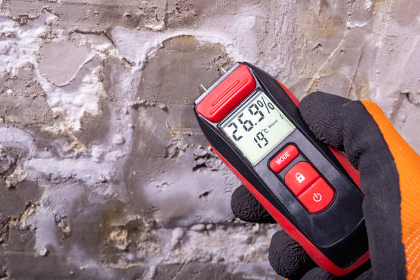 Best Local Mold Removal Service  in Levittown, PA