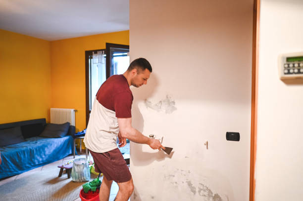 Professional Mold Removal in Levittown, PA