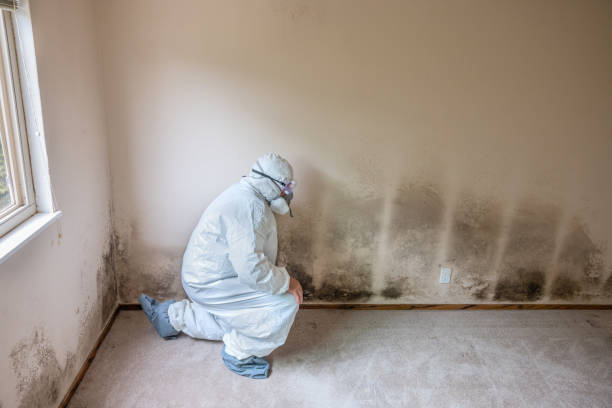 Best Residential Mold Removal  in Levittown, PA