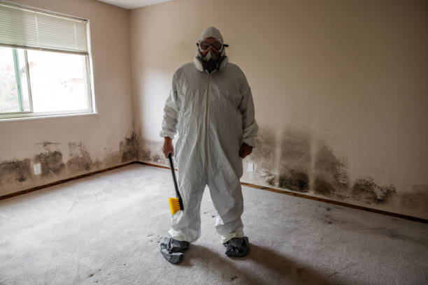 Best Affordable Mold Removal  in Levittown, PA